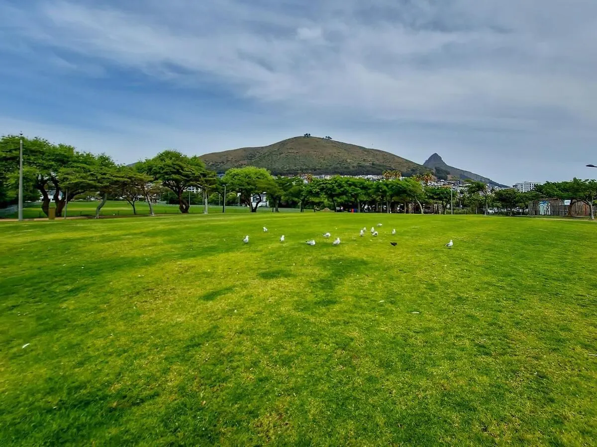 Tranquil Family Home In Green Point Cape Town Tatil Evi